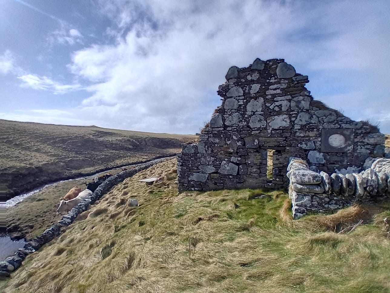 Ruined stone sheiling on the moorland, Isle of Lewis